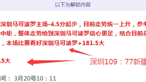 丹麦奥运冠军安赛龙因背伤手术修养，羽毛球赛场短期告别
